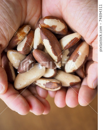 Fresh organic nuts brazil nuts, hand 74894311
