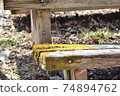 Rotten and mossy bench 74894762