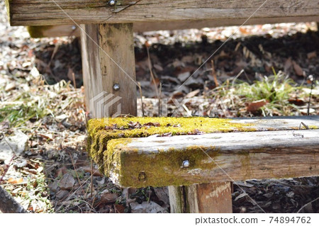 Rotten and mossy bench 74894762