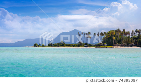 Tropical island with coconut palm. Beach fun. 74895087