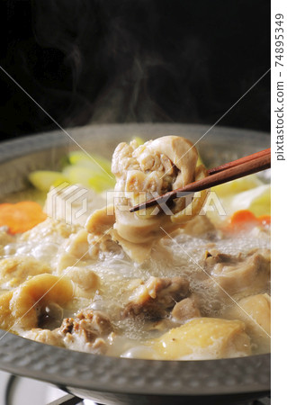 Mizutaki with lots of ingredients (black background) 74895349