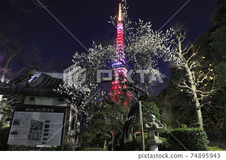Tokyo Tower    74895943