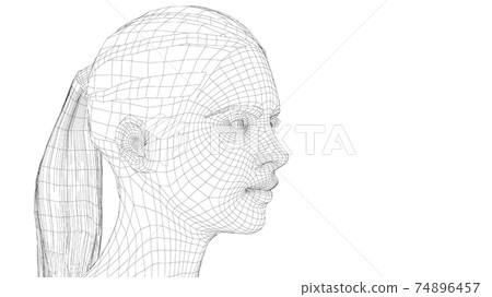 Wireframe portrait of a young beautiful girl Wireframe portrait of a young beautiful girl 74896457