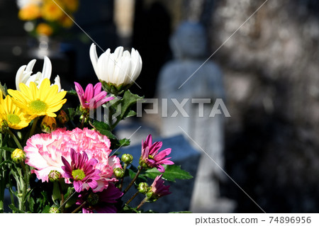 佛陀花和地藏 74896956