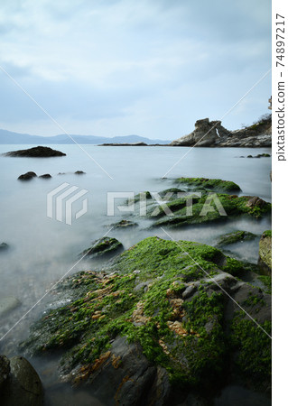 Wakaura Sea Horaiiwa 74897217