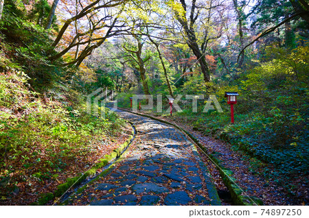 Okamiyama Shrine Okumiya approach to Daisen Town, Tottori Prefecture 74897250
