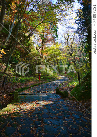 Okamiyama Shrine Okumiya approach to Daisen Town, Tottori Prefecture 74897251