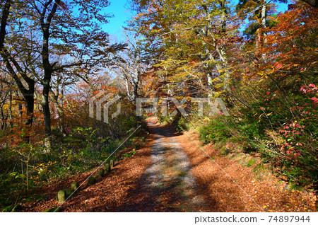Daisenji Temple worship road Daisen Town, Tottori Prefecture 74897944