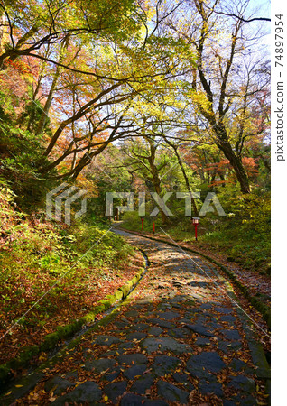 岡山神社奧宮進入鳥取縣大仙町 74897954