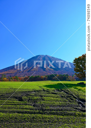 Daisen Daisen Cattle Field Tottori Prefecture Daisen Daisen Cattle Field Tottori Prefecture 74898549