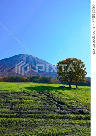 Daisen Daisen Cattle Field Tottori Prefecture 74898550