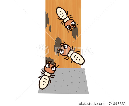 Termites eating pillars 74898881
