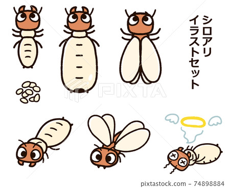 Cute termite illustration set 74898884
