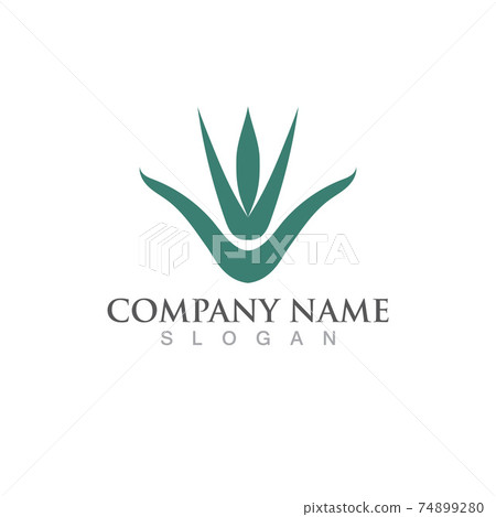 Aloe vera logo and symbol vector image Aloe vera logo and symbol vector image 74899280