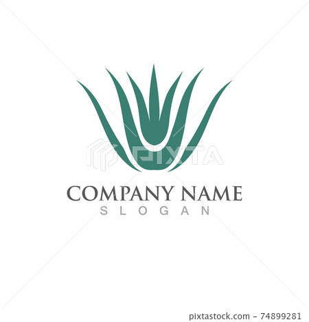 Aloe vera logo and symbol vector image Aloe vera logo and symbol vector image 74899281