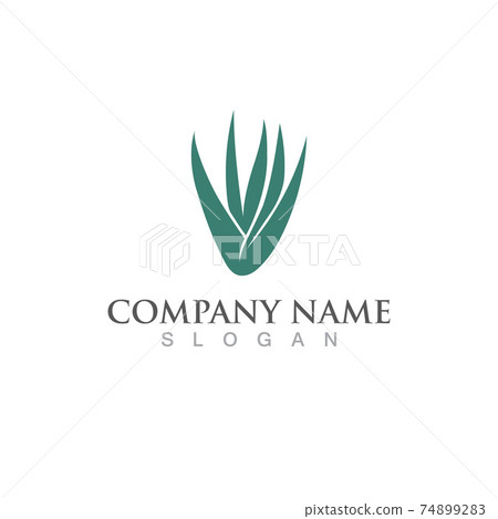 Aloe vera logo and symbol vector image 74899283