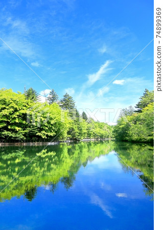 夏天雲海池塘 74899369