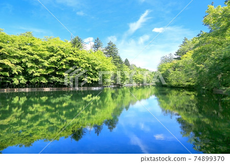 Summer cloud sea pond 74899370