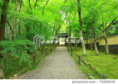 京都竹寺Jizoin 74899926