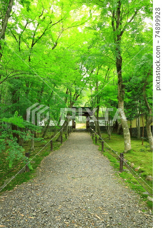 京都竹寺Jizoin 京都竹寺Jizoin 74899928