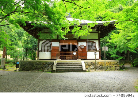 京都竹寺Jizoin 74899942