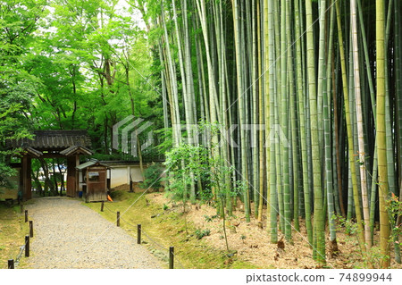 京都竹寺Jizoin 京都竹寺Jizoin 74899944