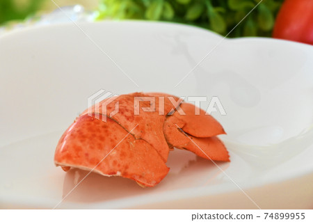 Shrimp shell 74899955