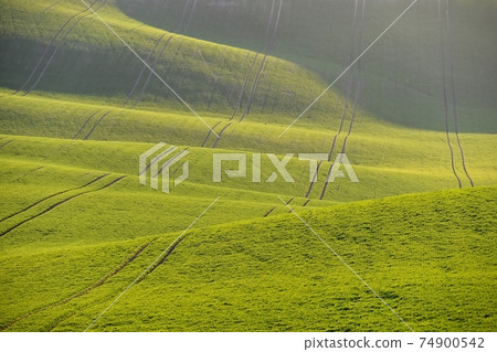 Beautiful spring landscape with green field. Beautiful spring landscape with green field. 74900542