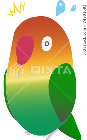 Surprised Ruri Koshi Button Parakeet Surprised Ruri Koshi Button Parakeet 74901093