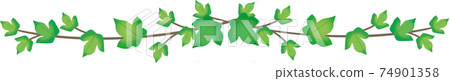Ivy Ivy 74901358