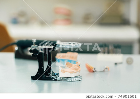 Model of teeth made of plaster of the jaw for dental technicians 74901601