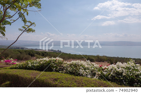 View of the Sea of Galilee, Tiberias, Israel. Beautiful landscape on sunny day on Kinneret lake. 74902940