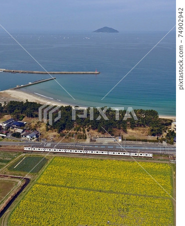 Chikuhi線穿過油菜田,背景為大海 Chikuhi線穿過油菜田,背景為大海 74902942