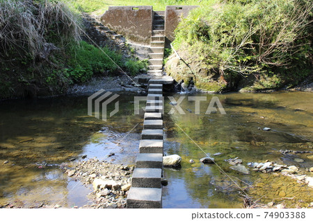 大t町的踏腳石現場 大t町的踏腳石現場 74903388