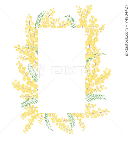 手繪插圖的含羞草/方形框架 74904427