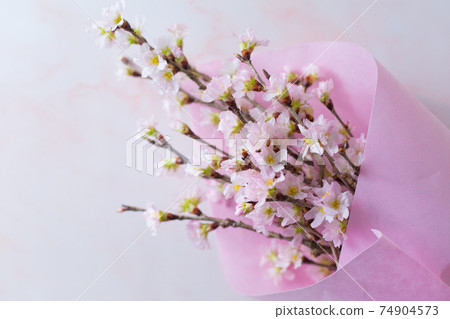 Bouquet of cherry blossoms 74904573