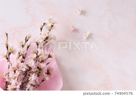 Bouquet of cherry blossoms 74904576