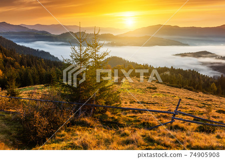Misty dawn in the mountains. Beautiful landscape Misty dawn in the mountains. Beautiful landscape 74905908