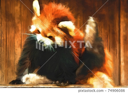 Lesser panda - Stock Illustration [74906086] - PIXTA