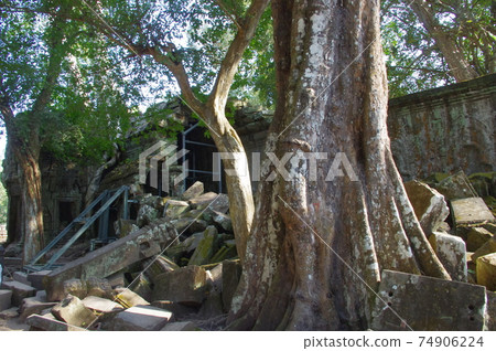 吳哥遺址_塔普倫 吳哥遺址_塔普倫 74906224