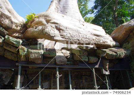 Angkor ruins Ta Prohm Angkor ruins Ta Prohm 74906234