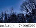 A small crescent moon between the trees at night 74906390