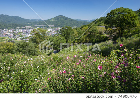 Retreat field Mahora Inahoyama (formerly Mukuge Natural Park) in Minano Town, Saitama Prefecture Korean rese 74906470