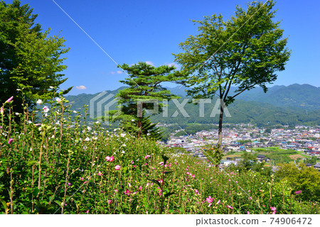 Retreat field Mahora Inahoyama (formerly Mukuge Natural Park) in Minano Town, Saitama Prefecture Korean rese 74906472