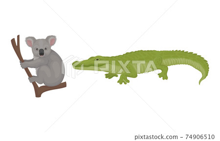 Grey Koala Bear Sitting on Branch and Crocodile as Australian Animals Vector Set 74906510
