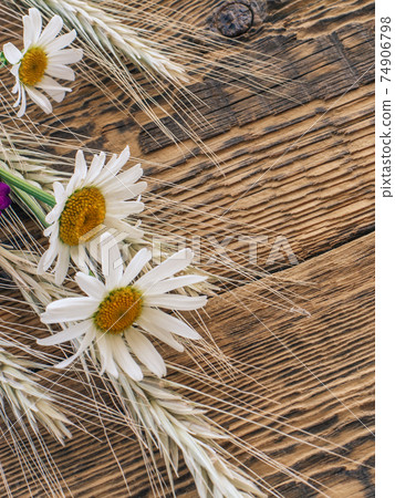 Dry spikelets of wheat and chamomile flowers on wooden boards. Dry spikelets of wheat and chamomile flowers on wooden boards. 74906798