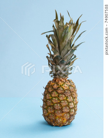 Whole pineapple with leaves on blue background. 74907588