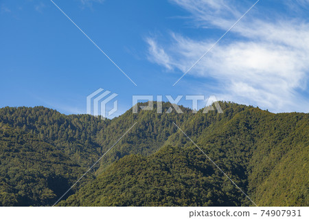 Landscape of linden forests, La Palma, Canary Islands, Spain. 74907931