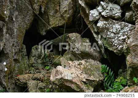 From Daisekirinzan 74908255