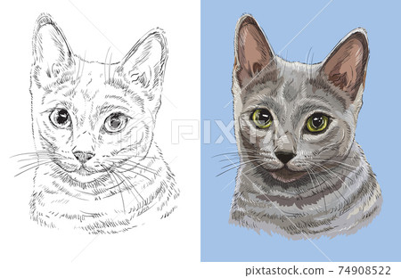 Vector illustration portrait of cute Russian blue cat Vector illustration portrait of cute Russian blue cat 74908522